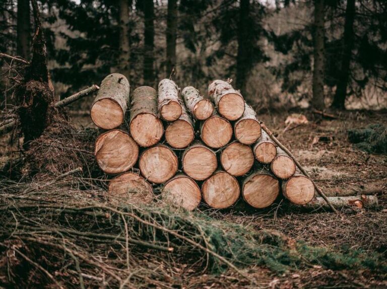 Multiwood photo 6